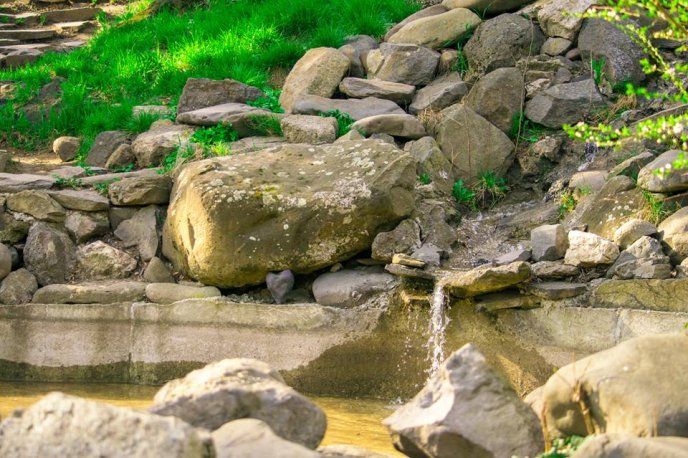 В Ужгороді запрацював водограй в альпінарії – 02