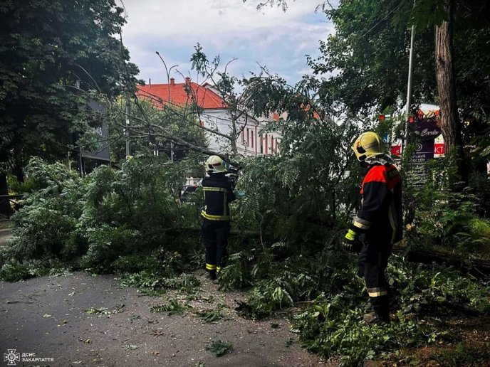 Повалені дерева, пошкоджені дахи, знеструмлені села: наслідки негоди на Закарпатті – 05