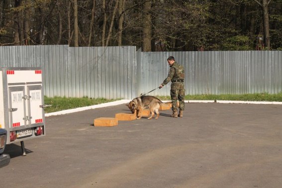 Вихованці Перечинської школи-інтернат відвідали кінологічний центр – 03