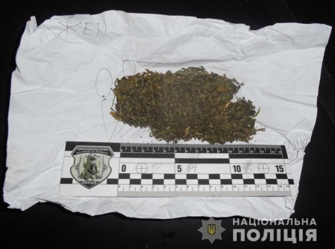 Вночі у 16-річного хлопця знайшли згорток із марихуаною – 02 Вночі у 16-річного хлопця знайшли згорток із марихуаною – 02
