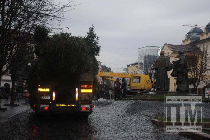 У Мукачеві встановлюють головну новорічну ялинку міста (ФОТО) – 01