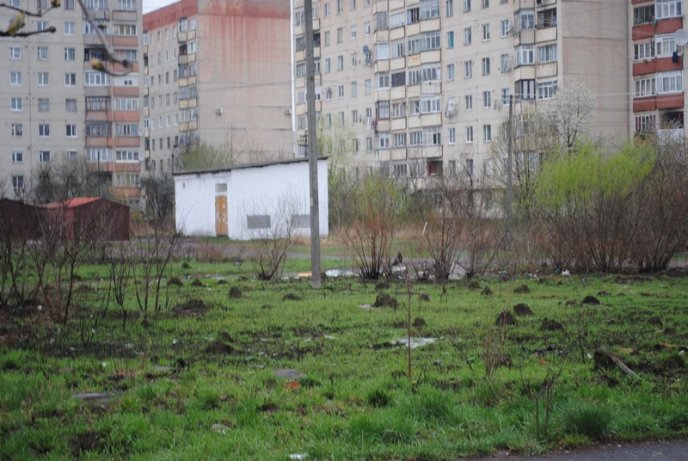 Толока в Мукачеві крізь об’єктив нашого кореспондента (ФОТОРЕПОРТАЖ) – 09