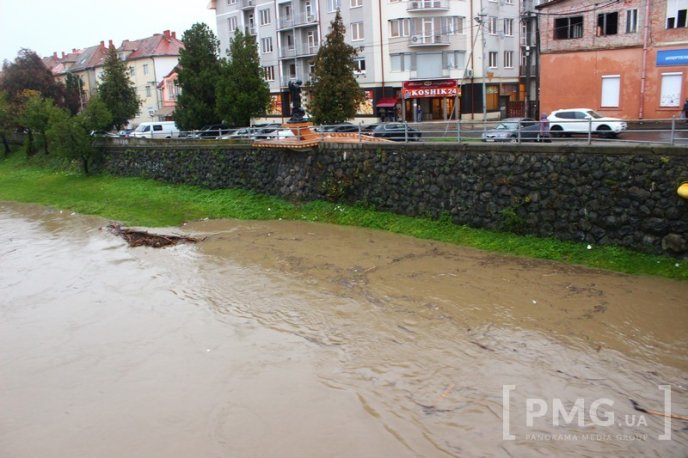 Рівень води у Латориці в межах Мукачева, Кольчина та Чинадієва сильно піднявся – 14