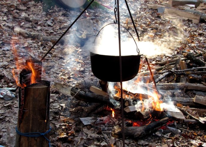 У лісі на виїзді з Мукачева влаштували новорічну зустріч у кельтському стилі – 05