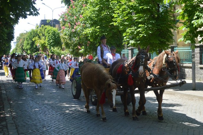 Фестиваль "Угочанська лоза": як закарпатці та гості краю на святі гуляли – 06