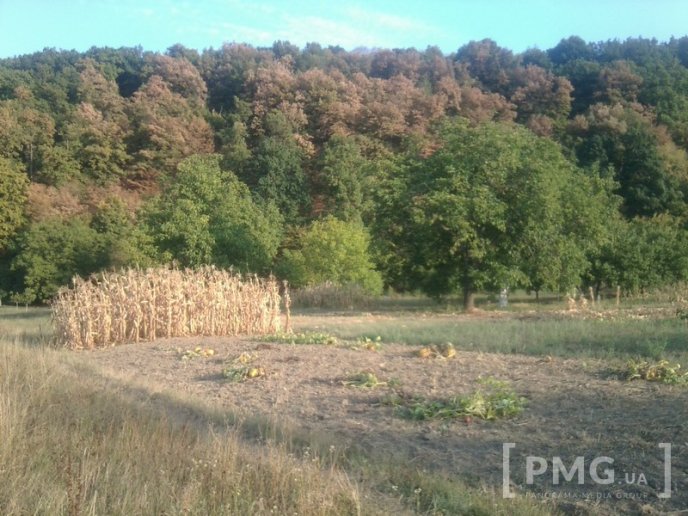 Землю, яка належить мешканцям мікрорайону "Підгоряни", можуть віддати бійцям АТО – 04