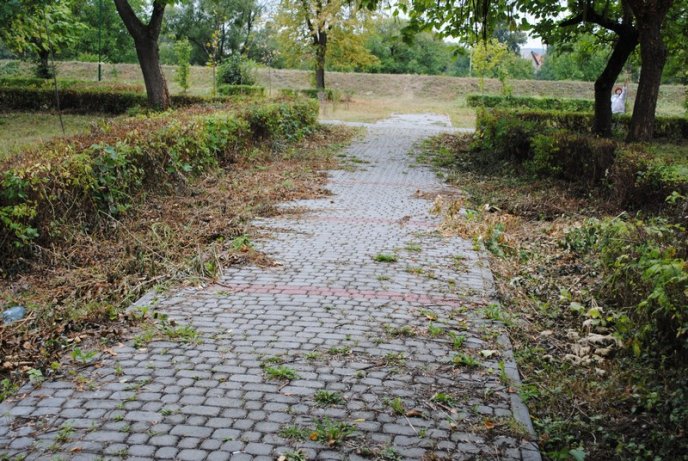 Мукачівці перетворили Комсомольський парк на сміттєзвалище (ФОТОРЕПОРТАЖ) – 02