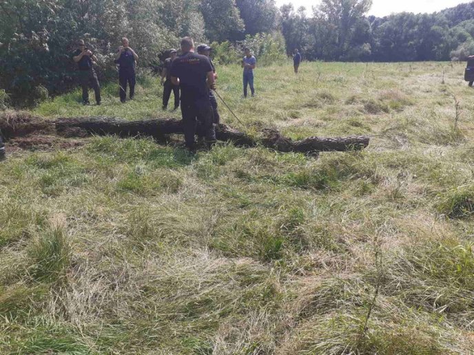 Сотні пляшок та повалені дерева: на Берегівщині розчищали річку – 05