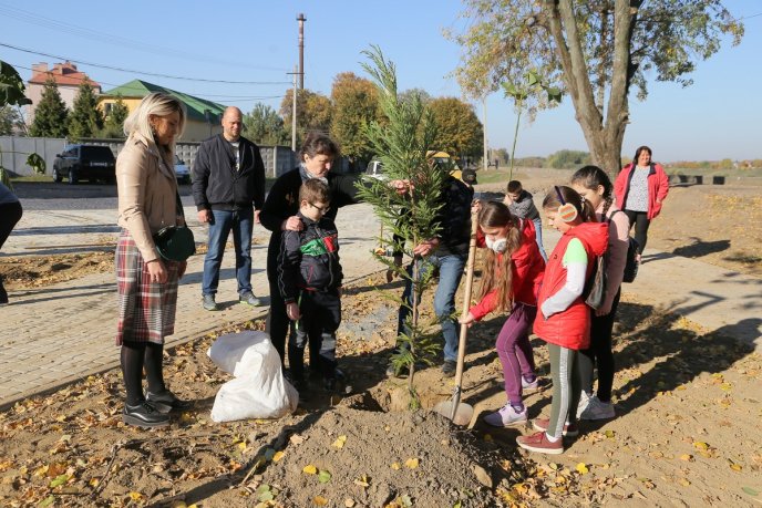 У Мукачеві з’явиться новий парк – 02