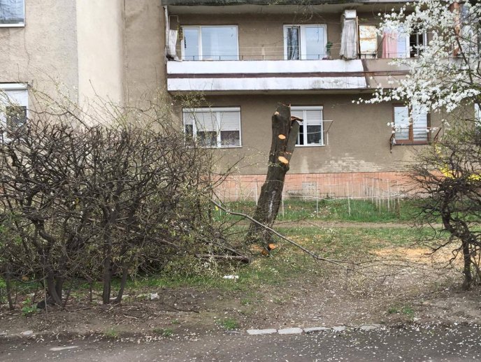У Мукачеві в мікрорайоні Підгоряни бабуся здійняла переполох своєю витівкою – 01 У Мукачеві в мікрорайоні Підгоряни бабуся здійняла переполох своєю витівкою – 01