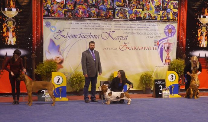 В Ужгороді визначили переможця Міжнародної виставки собак – 06
