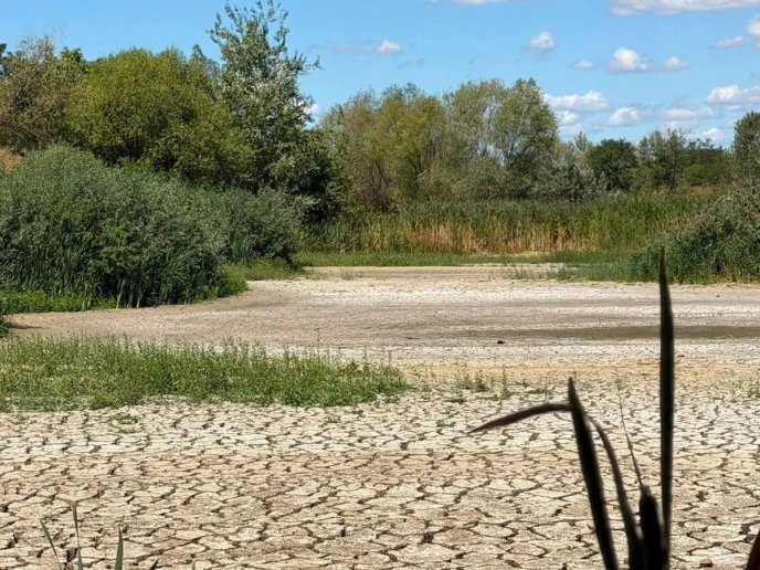 «Чорне озеро» все: місцеві в Ужгороді кажуть про пересихання водойми – 02
