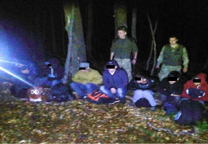 У лісі знайшли 16 нелегалів – 03 У лісі знайшли 16 нелегалів – 03