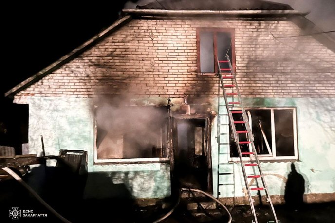 Піч не варто залишати без нагляду / фото: ДСНС Закарпаття