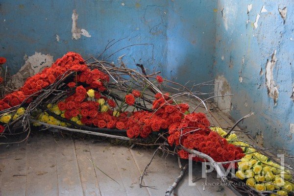 У Чинадієві відбувся фестиваль квітів "Кохання в Сент-Міклоші" – 41