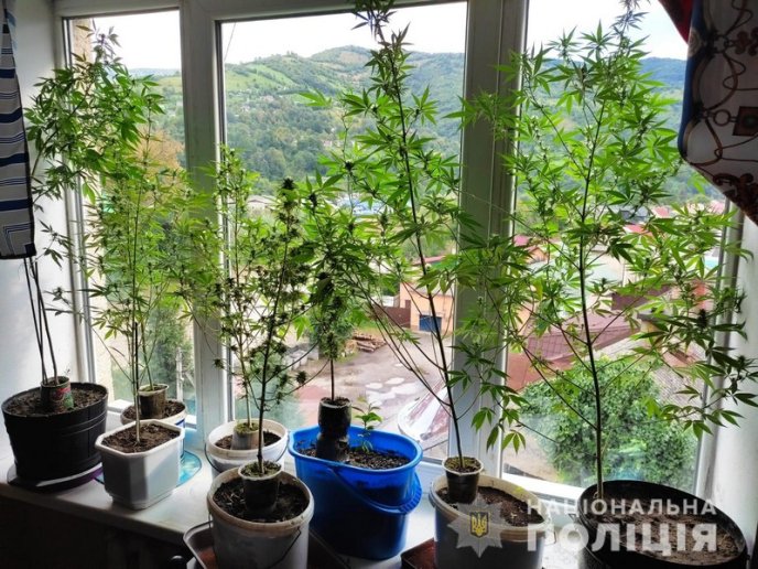 1 вересня у Рахові затримали чоловіка – 02