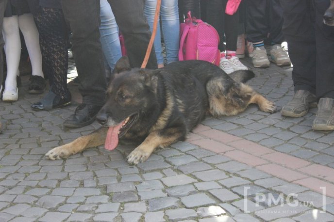У Мукачеві урочисто відкрили чемпіонат світу зі слідової роботи службових собак – 48