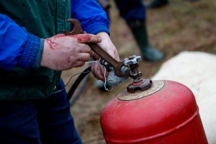 Колоритний фестиваль Гентешів у селі Геча: як це було – 15
