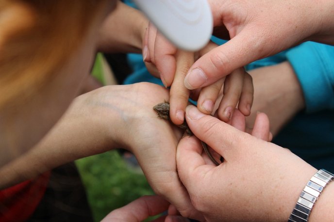 Вихованці мукачівського клубу "Товариш" відвідали чергову захоплюючу екскурсію (ФОТО) – 08