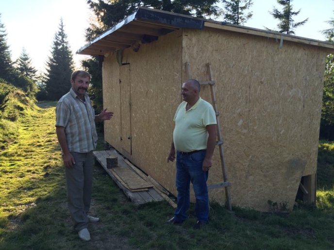 На Рахівщині випасають карпатських буйволів – 04