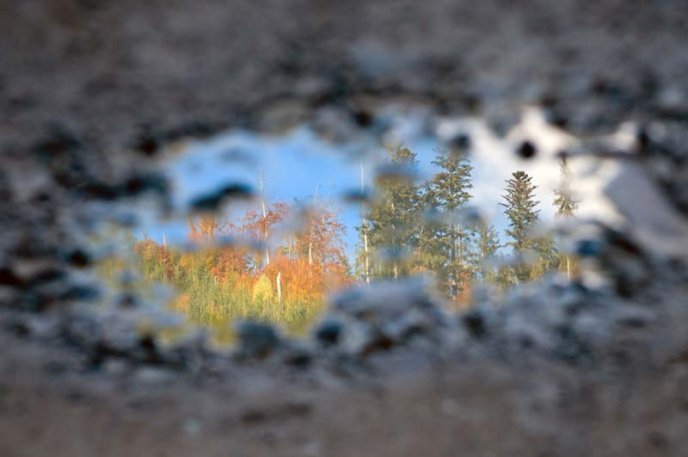 В Ужгороді відкрили фотовиставку, присвячену життю та побуту в Карпатах (ФОТО) – 08