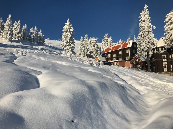 Мережу підкорюють фото засніженого Драгобрата – 01