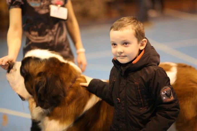 В Ужгороді визначили переможця Міжнародної виставки собак – 27