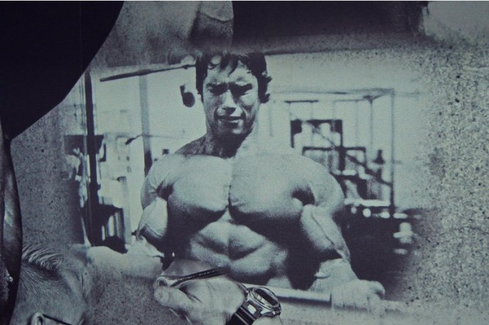 У Мукачеві відкривається новий спорткомплекс "Elite Sport Club". Тиждень занять – безкоштовно – 05