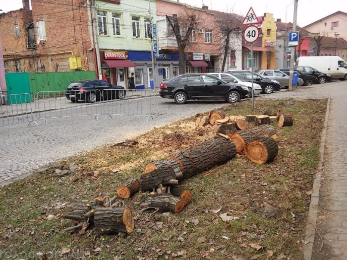 Комунальники зрізали на вулиці Пушкіна у Мукачеві паркан та кілька дерев – 03