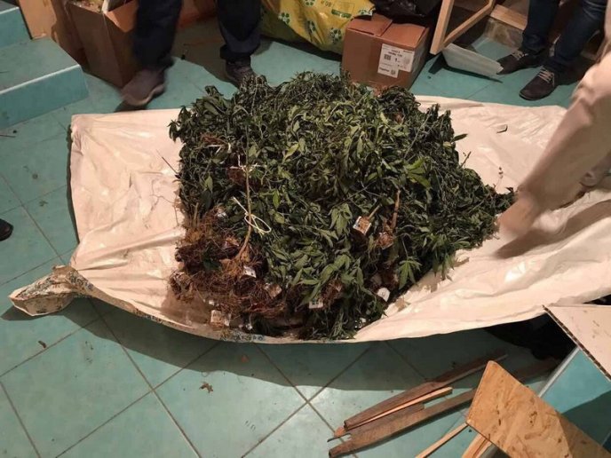 Обшуки у Виноградівському відділенні поліції тривають. Затримано правоохоронця, який "прикривав" наркобізнес – 02 Обшуки у Виноградівському відділенні поліції тривають. Затримано правоохоронця, який "прикривав" наркобізнес – 02