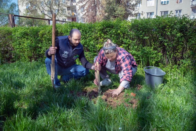 Фондом "Регіон Карпат NEEKA" висаджено понад 250 дерев – 08 Фондом "Регіон Карпат NEEKA" висаджено понад 250 дерев – 08