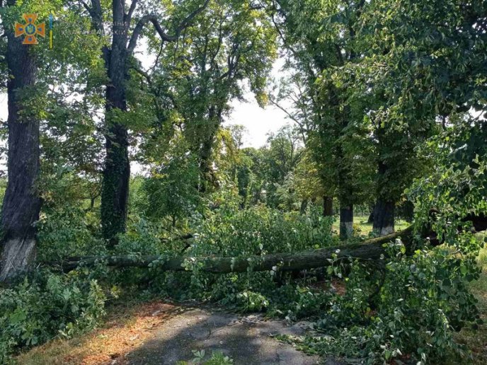 Знеструмлені села і повалені дерева: Закарпаттям пронеслась велика буря – 04
