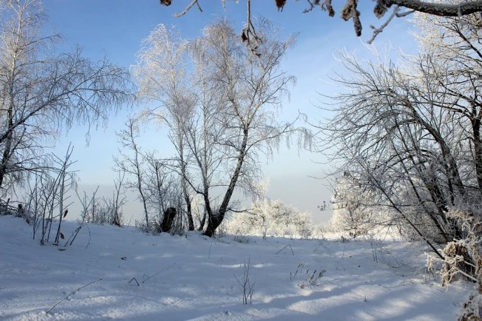Мукачівські гуртківці дослідили зв’язок між вагомою історичною подією та Закарпаттям – 05 Мукачівські гуртківці дослідили зв’язок між вагомою історичною подією та Закарпаттям – 05
