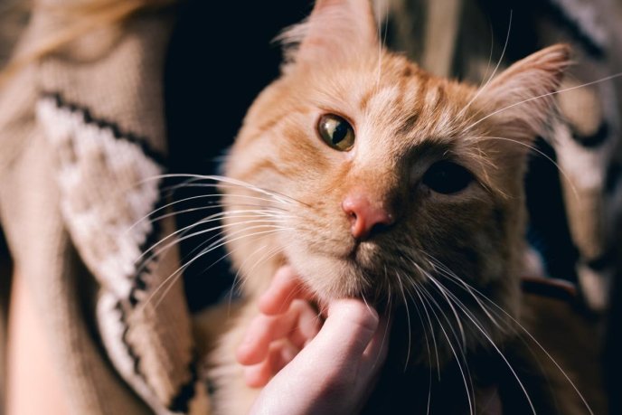 Таємничий та загадковий: гурт "Без обмежень" презентував новий кліп на пісню "Без неї ніяк" – 08