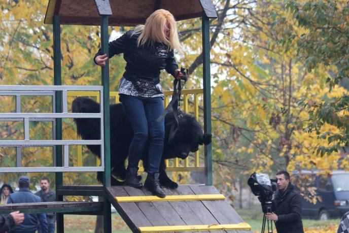 У Мукачеві відбулося урочисте відкриття дресирувального парку для собак – 04