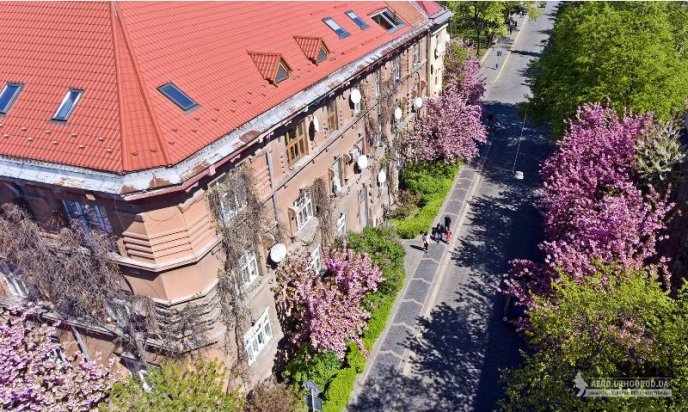 Ужгородські сакури сфотографували з висоти пташиного польоту – 02