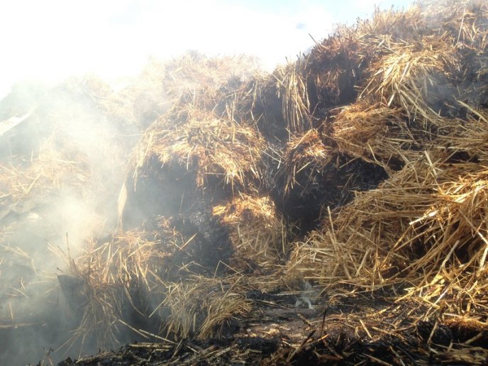 На Ужгородщині пожежа у надвірній споруді ледь не знищила житловий будинок – 03