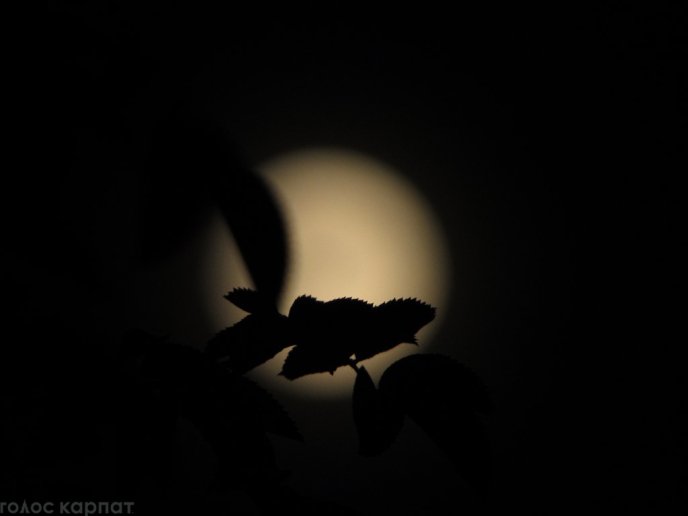 У небі над Закарпаттям цієї ночі можна було спостерігати заворожуюче видовище – 01