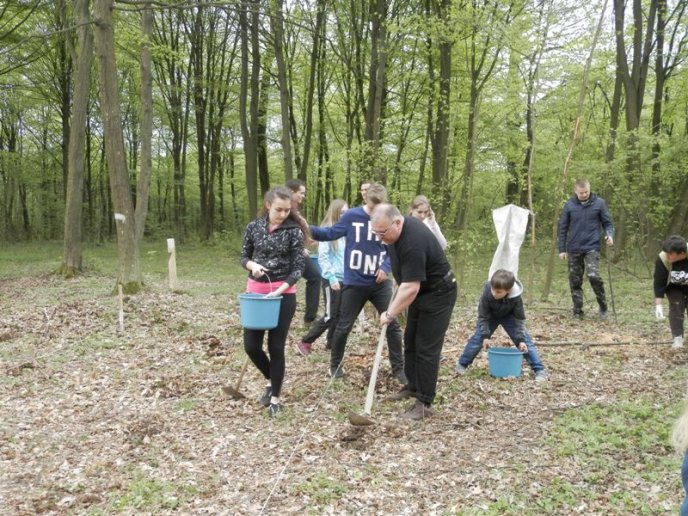 Лісівники разом із студентами провели весняну лісокультурну кампанію – 02