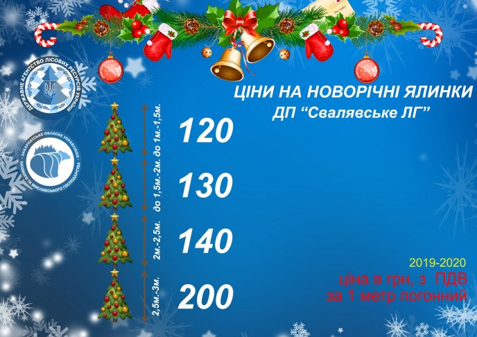Скільки коштує новорічна ялинка на Закарпатті: оприлюднено ціни у лісгоспах краю – 06