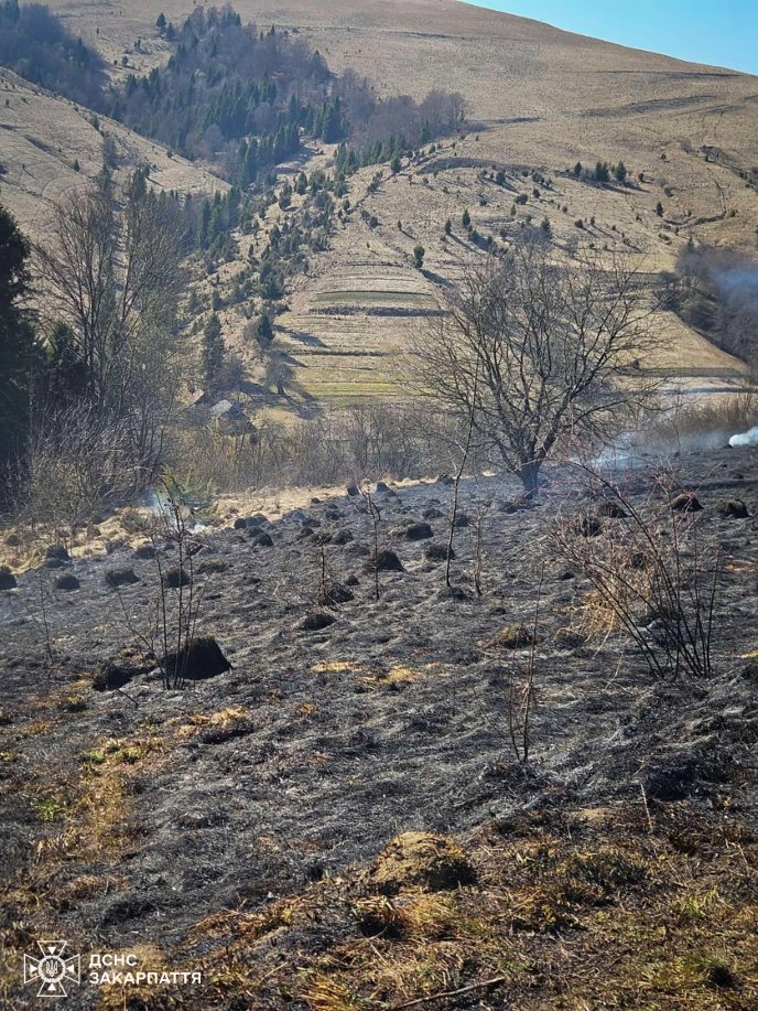 Закарпатці підпалюють сухостій