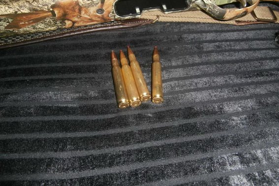 Закарпатських браконьєрів спіймали на гарячому – 02