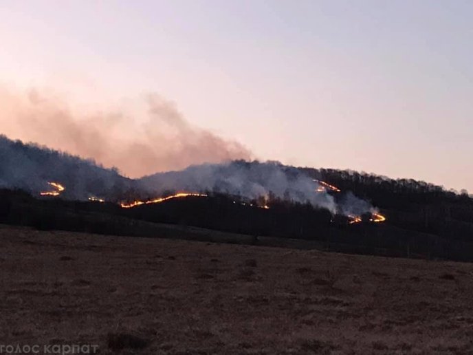На Іршавщині вирує масштабна пожежа – 05