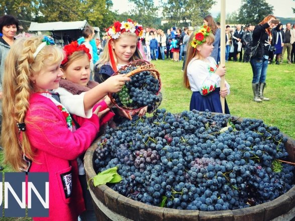 Як на Мукачівщині фестиваль вина проходить – 09