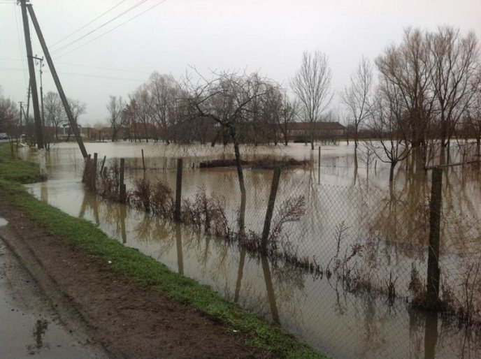 Мукачівський район у воді: підтоплено 150 дворогосподарств, людям підвозять питну воду (ФОТО) – 04