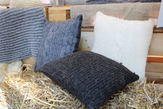 В рамках Дня міста Ужгород відбувся масштабний танцювальний флешмоб – 27