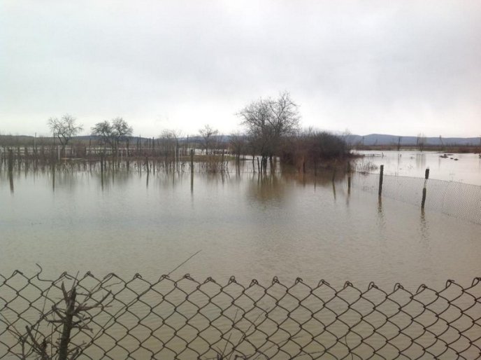 Мукачівський район у воді: підтоплено 150 дворогосподарств, людям підвозять питну воду (ФОТО) – 07