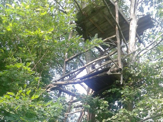 Заступника начальника відділу прикордонної служби «Дюла» затримали на хабарі – 03 Заступника начальника відділу прикордонної служби «Дюла» затримали на хабарі – 03