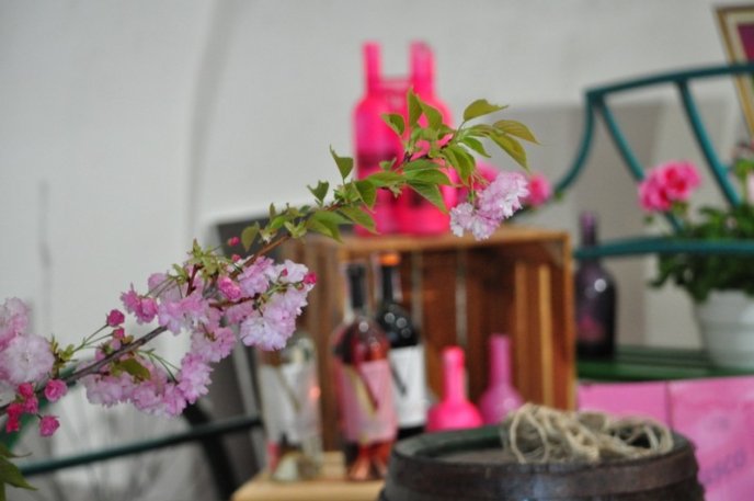 Сьогодні в Ужгороді розпочався дводенний фестиваль «Sakura Wine» – 10