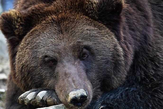 Інтернет-користувачів вразили "зимові" фотографії озера Синевир – 14